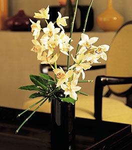  Karaman 14 ubat sevgililer gn iek  cam yada mika vazo ierisinde dal orkide