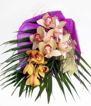  Karaman iek maazas , ieki adresleri  1 adet dal orkide buket halinde sunulmakta