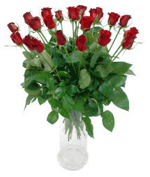  Karaman internetten çiçek satışı  11 adet kimizi gülün ihtisami cam yada mika vazo modeli