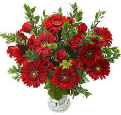 5 adet kirmizi gül 5 adet gerbera aranjmani  Karaman online çiçek gönderme sipariş 