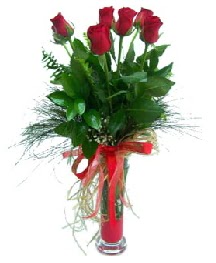 vazo içerisinde 5 kırmızı gül  Karaman çiçek gönderme 