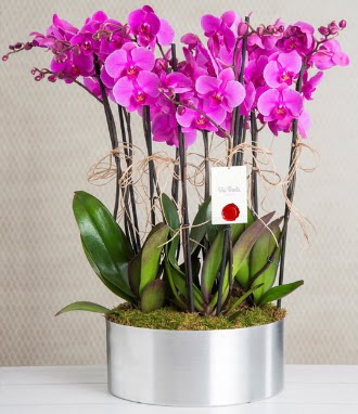 11 dall mor orkide metal vazoda  Karaman hediye iek yolla 