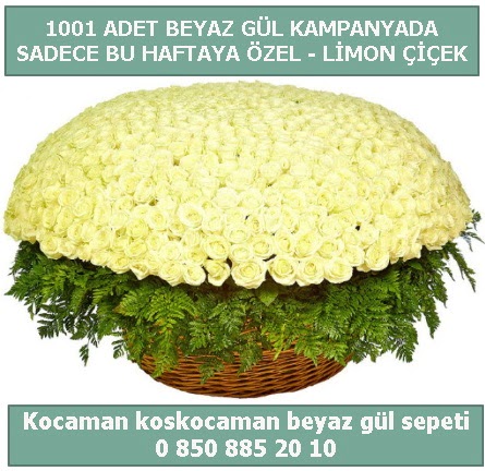 1001 adet beyaz gül sepeti özel kampanyada  Karaman hediye çiçek yolla 