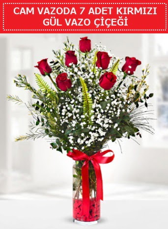 Cam vazoda 7 adet kırmızı gül çiçeği  Karaman hediye çiçek yolla 