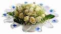 cam günes ve dolunay bembeyaz  Karaman internetten çiçek siparişi 