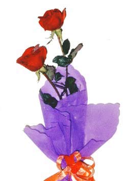 2  adet kirmizi gül buketi   Karaman internetten çiçek siparişi 