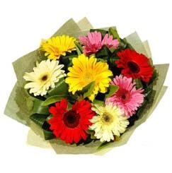 9 adet karisik gerbera demeti  Karaman çiçek gönderme sitemiz güvenlidir 