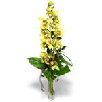  Karaman ucuz çiçek gönder  cam vazo içerisinde tek dal canli orkide