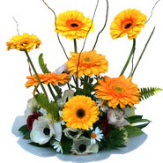 camda gerbera ve mis kokulu kir çiçekleri  Karaman internetten çiçek satışı 