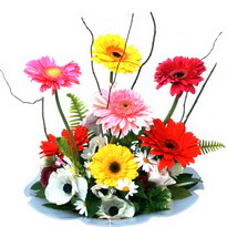  Karaman online çiçek gönderme sipariş  camda gerbera ve mis kokulu kir çiçekleri 