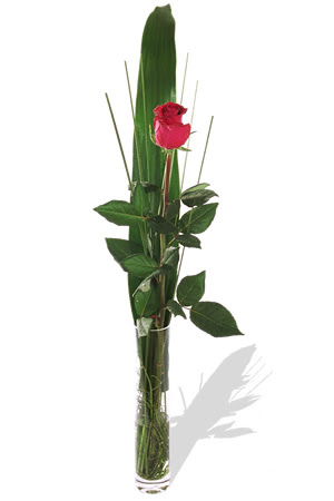 1 adet cam vazo içerisinde kirmizi gül  Karaman internetten çiçek siparişi 