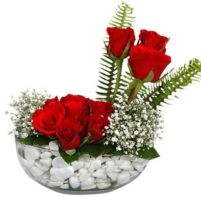 cam içerisinde 9 adet kirmizi gül  Karaman hediye sevgilime hediye çiçek 