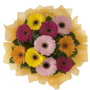  Karaman ucuz çiçek gönder  11 adet karışık gerbera çiçeği buketi
