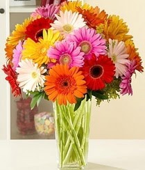  Karaman İnternetten çiçek siparişi  15 adet gerbera çiçek vazosu