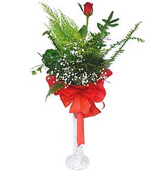  Karaman yurtiçi ve yurtdışı çiçek siparişi  Cam vazoda masum tek gül