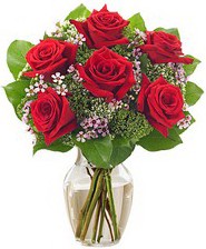 Kız arkadaşıma hediye 6 kırmızı gül  Karaman anneler günü çiçek yolla 