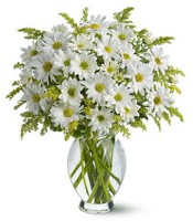 Vazo içerisinde beyaz krizantem çiçekleri  Karaman cicek , cicekci 