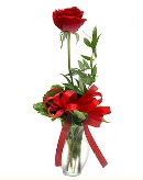 vazo içerisinde 1 adet kırmızı gül  Karaman internetten çiçek satışı 