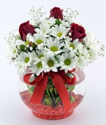 Fanusta 3 Gül ve Papatya  Karaman uluslararası çiçek gönderme 